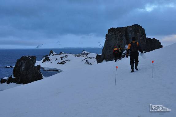 Caminhando em trilha demarcada em Half Moon Island, na Antártida
